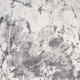 290636245
