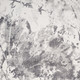 290636246