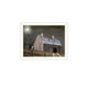 Set Of Two Autumn Moonlit Nights White Framed Wall Art