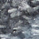 293605551
