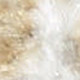 4' X 6' Ivory Floral Power Loom Worn Faded Area Rug