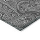 8' X 10' Gray Silver And Charcoal Paisley Washable Indoor Outdoor Area Rug