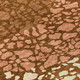 306757436