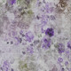 8' X 10' Purple Lavender And Artichoke Green Floral Washable Indoor Outdoor Area Rug