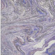 9' X 12' Lavender Gray And Ivory Abstract Washable Area Rug With UV Protection