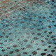 3' X 5' Blue Copper And Ivory Polka Dot Washable Area Rug With UV Protection