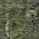 286419037