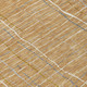 230111004