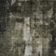 230160064