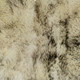 159556761