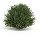 Set of Six 8" Green Artificial