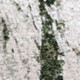 292840653