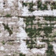 292840927