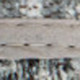 292841044