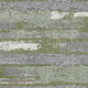 230230038