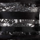 286006319