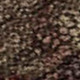 257556128