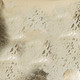 286009085