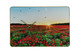 24" Red Blue And Gold Solid Wood and Acrylic Silent Poppies Floral Wall Clock