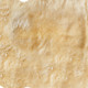 4' X 6' Gold Genuine Sheepskin Animal Print Shag Area Rug