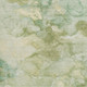 257546131