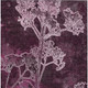 8' X 10' Eggplant And Plum Floral Washable Indoor Outdoor Area Rug
