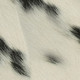 159526701