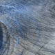 286127229