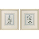 Set Of Two Shabby Chic Botanical Gold Framed Wall Art