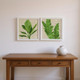 Set Of Two Palm Isle I Distressed White Framed Wall Art