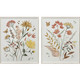 Set Of Two Full Bloom II White Framed Wall Art