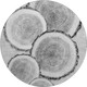 8' Gray And Ivory Faux Bois Washable Round Rug With UV Protection