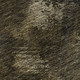 286162320