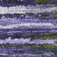 286165204