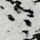 286169646