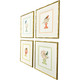 Set Of Four Bird with Shell Gold Framed Wall Art