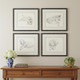 Set Of Four Antique Dog Sketch Distressed Black Framed Wall Art