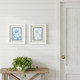 Set Of Two Angel Fish White Framed Wall Art