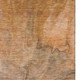 10' X 14' Chili Red Ivory And Copper Abstract Washable Area Rug With UV Protection