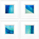 Set Of Four Nature From Above White Framed Wall Art