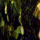 286249004