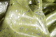 159526540