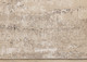 290675419