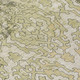 8' X 10' Artichoke Green And Beige Medallion Washable Indoor Outdoor Area Rug