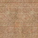 230085817