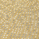 230126577
