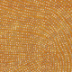 230125552