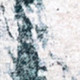 292840037