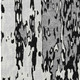 230200003