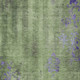 306780804